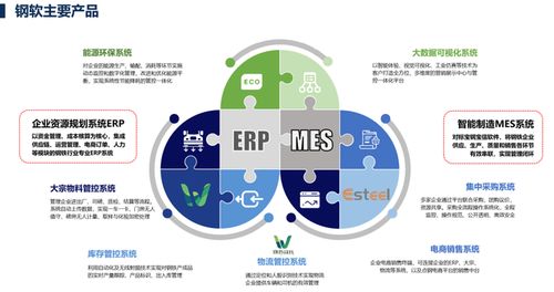 上海軟件開(kāi)發(fā) 機(jī)遇、挑戰(zhàn)與未來(lái)展望